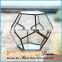 Hot sale indoor plant glass terrarium clear glass geometrical hanging terrarium-indoor plant pot holders glass terrarium