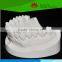 Direct factory supplied human oral cavity model