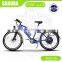 fashion style 36v 250w electrical mountain bike