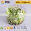 Eco Friendly PET disposable plastic vegetable and fruit salad packaging