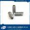 China Manufacturer Screw Press 316ss Screw CSK Self Tapping Screw