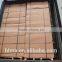 12mm 18mm waterproof plywood price for sale
