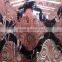 float decorative wall color mirror