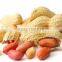 BOLD PEANUT IN SHELL 18-22 COUNT