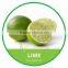 HIGH QUALITY FRESH GREEN LIME // FRESH SEEDLESS LIME