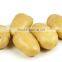 2016 new crop Fresh potatoes