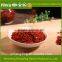 Professional Spices Manufacturer farm green,red bell pepper price for salad, soup