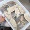 Frozen John Dory Fillets 60-100g/100-150g/pc Factory Direct Selling From Zhejiang of China
