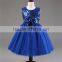 Little Baby Girls Dress Party Costume Bow Lace Sequins Flower Princess Tutu Dresses Children Clothes Kids Clothing