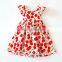 2017 new Summer Infant Baby Girl Ruffle Floral Print Dress Sundress Briefs Outfits Clothes