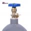 China Supplier Argon Ar Gas Cylinder Bottle Sizes Prices For Sale