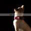 LED Dog Collar Reflective Strip Waterproof Multifunctional Charging Glowing Collar