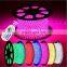 Professional Smart UV RGB 5050 60Leds Per Meter 8mm pcb Led Flexible Strip Light