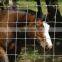 fixed knot field veldspan farm horse sheep farm/field/deer wire mesh fence galvanized