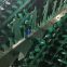 Beautiful Green Anti Climb Wall Spikes for Residential Perimeter Security