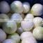 Year Round European Standard Harvest 2019 Skin Off Yellow Whole Round Fresh Onions from China