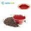 High Quality Food Grade Edible pigment Natural Red Cochineal Carmine Powder