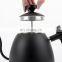 304 Stainless Steel Gooseneck Kettle with Thermometer for Pour Over Coffee & Tea