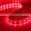 60LED SMD3528 Cuttable 390-395nm UV LEDStrip