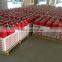 Brand since 1989!china leading safety manufacturer RIK top selling 5KG 145mm powder fire extinguisher