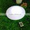 Solar LED light and lighting with remote control YXF-3513S