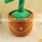 Soft Electronic Flower Singing Toy/Stufferd Toy Flower with Sound Sensor Controll
