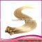 Pre-bonded I-tip Hair Extensions Wholesale I Tip Kertain 613 1g
