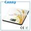 5-YEAR Factory CK455 Electronic Kitchen Scale, weighing scales for FOOD, household use EXTRA LARGE 10KG capacity