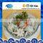 Frozen Baby Octopus Good Manufacturer