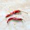 dry red chilli