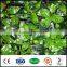 artificial screen leaf boxwood leaves vine plants