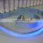LED Pet Leash