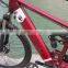 Chinese best e bike manufacturer,cheap aliminum alloy e bike with Brushless Motor