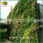 Hot sale artificial green wall top quality artificial grass wall decor