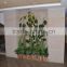 Artificial Vines For Restaurant Wall Decoration