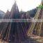 Moso bamboo pole big bamboo pole