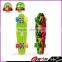 Cheap plastic mini skateboard with water transfer printing