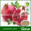 ellagic acid solubility for pomegranate extract punicalagin