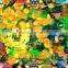 Golden Legend IGS fishing arcade game machine for 6 8 10 players