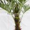 artificial palm trees leaevs sale palstic trunk decoration