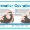 1 HZ Vertical F6 Q Switched Nd Yag Laser Double Rods Machine Design Pigmented Lesions Treatment