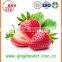 Export 25-35mm A13 Chinese Best quality Whole Fresh Strawberry