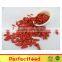 Hot Sale Goji Fruit on sale