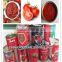 good price high quality tomato paste in cans in metal tins
