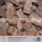 Unpolished low cost pine bark manufacturer