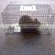 1 inch metal welded iron wire grid mesh fence panel/sheet