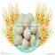 Hot sale stainless steel Chinese dough divider rounder machine