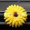 Daisy Flower Shaped Air Freshener/Daisy flower air freshener for car/sunflower shape daisy air freshener