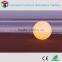 60cm illuminated inductive charging waterproof IP65 LED globle ball