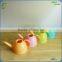 Plastic watering can for garden/Garden water sprayer